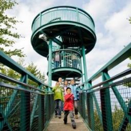 Bij Buitencentrum Boomkroonpad van Staatsbosbeheer beleef je het bos op een bijzondere manier. Loop tussen de toppen van de bomen. Een unieke natuurattractie in