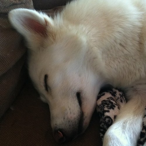 SeanCrowne's profile picture. 