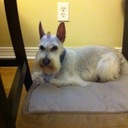 Karissa Butler - @Karissa_Butler - Twitter