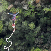 Jenny Scanlan (@scanlanelm) 's Twitter Profile