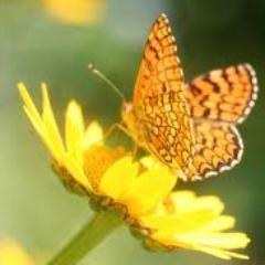 lianky_yan's profile picture. 