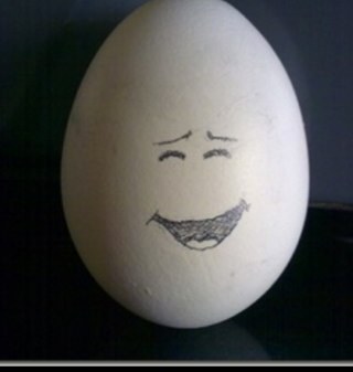 My name is greg. And im an egg.