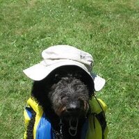 gustav_ober (@gustav_ober) Twitter profile photo