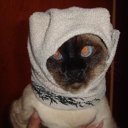 Bastet_mdq's profile picture. 