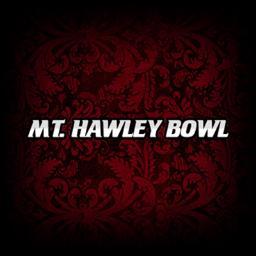 At Mt. Hawley Bowl Family Fun Bowling Center we offer 24 high-quality Brunswick Synthetic lanes with automatic scoring for family, friends, and league bowling.