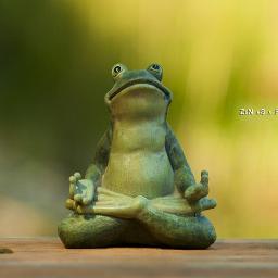 ZenSuper1's profile picture. 