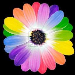 Truth_besaid's profile picture. 