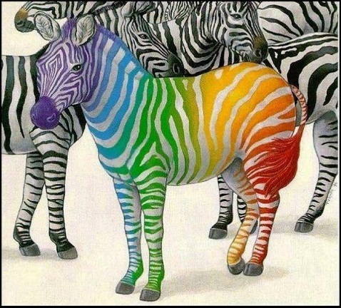 DiversityMattNW's profile picture. We are passionate about diversity and inclusion in the community! Based in the North West of England.