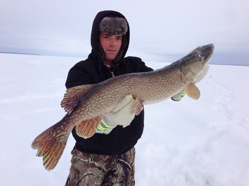 BillayJon's profile picture. 