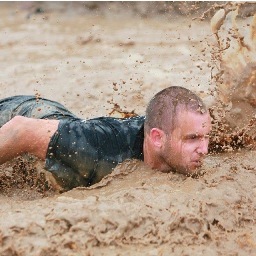 el_jefe1291's profile picture. 