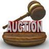 pinalauction's profile picture. mobile ( 480-882-8635)