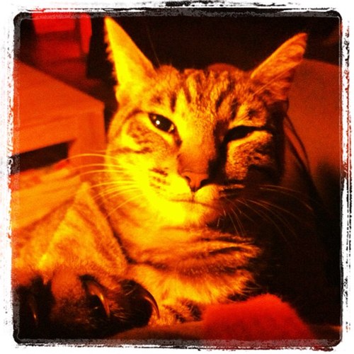 margjemargje's profile picture. 