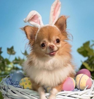 Neckandnecklace's profile picture. Let's turn the world Pink