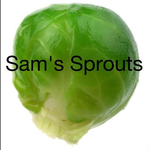 Twitter for Samantha Barks' sprout followers! :)