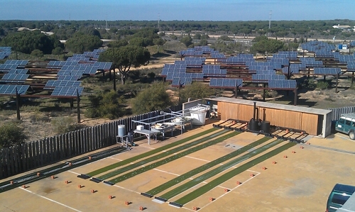 BenitoMogedas's profile picture. Si supiera donde voy...tal vez podrías seguirme.