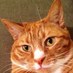 Margaret Croft (@croftmargret) Twitter profile photo
