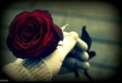 lolo_lqm's profile picture. 