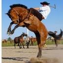 Nathan Ávila - @crizel_avila - Twitter