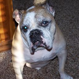 GV5000000000000's profile picture. 🎈☠🎈