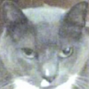 Ed Castaneda - @Alzaauc - Twitter