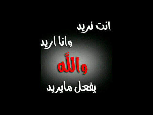 2A8C55D0رقم ألببي إلي يبي وجاد وآنا ترا كأش