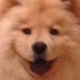 domas (@domas) Twitter profile photo domas (@domas) Twitter profile photo