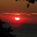 Renee Morrison - @GmaRenee1 - Twitter