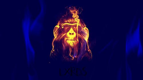 LXRDS is a Clothing Company found by A'darian Williams and Gavin Hutchinson. We carry Trill Clothing ONLY. Email : lxrds@yahoo.com