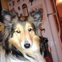 Pierre Legault - @PierreLegault7 - Twitter