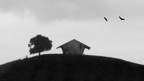 tStudios's profile picture. A studio for digital-media education, photography & design. Offering private workshops and consultations in design, photo and web.