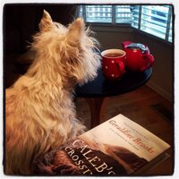 Anna Davidson (@davidsonteach) 's Twitter Profile