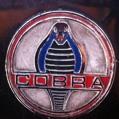 divakarmithal's profile picture. 