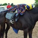 Michaela Maynard - @Fuhrmanizer14 - Twitter