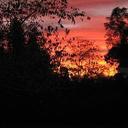 Ellen Randolph - @MishaKosh - Twitter