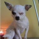 candace reed - @Candace4Reed - Twitter