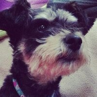 tomtran (@tomtran199) 's Twitter Profile
