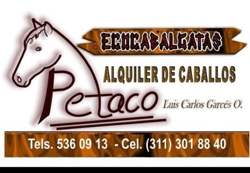 Ecocabalgatas petaco las mejores cabalgatas del oriente antioqueño