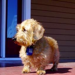 Global health expert. Ph.D. socsci. think tanker. former U.S. Senate staff. Californian in long-term exile. Rower. Owned by 1 guy & 1 doxie. RT ≠👍.🏳️🌈