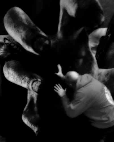 bmorge31's profile picture. 