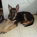 Max Thurman - @MiOsoChiflado - Twitter