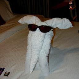 polachekj's profile picture. 