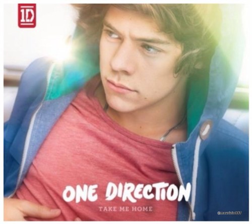 zayn malik| louis tomlinson| niall horan| harry styles| liam payne are the most sexiest people in the world if u agree follow me! 0/5