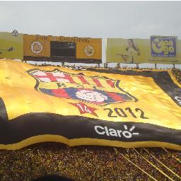 idoloBSC2012's profile picture. Hincha del más veces campeón, el que jamás descendió. BARCELONA SPORTING CLUB 💛