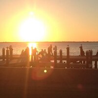 Rob Wells (@tarponlodge) 's Twitter Profile