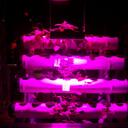 Bernard Muldoon - @Beakon1428 - Twitter