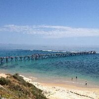 Jeff Anderson (@firstonscenetv) 's Twitter Profile