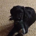 Heidi Farmer - @mamafarm4 - Twitter