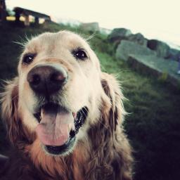 meganmilly's profile picture. if my eyes were where my nose is, i would blink & smell the roses
#freemilly