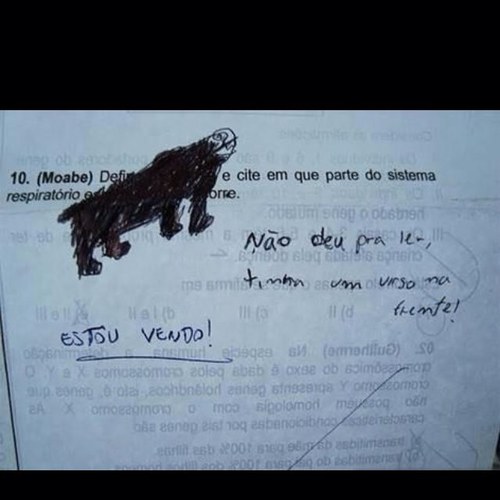 Sou o cara do site