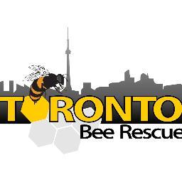 We are your specialists for urban beekeeping and humane honey bee removal in the Greater Toronto Area (GTA).